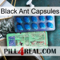 Black Ant Capsules new02